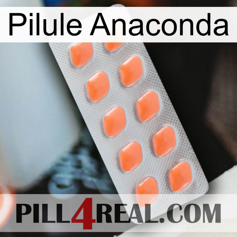 Anaconda Pill 26